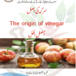 سرکہ کی اصل۔ The origin of vinegar ۔أصل الخل