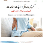 Causes and symptoms of back pain