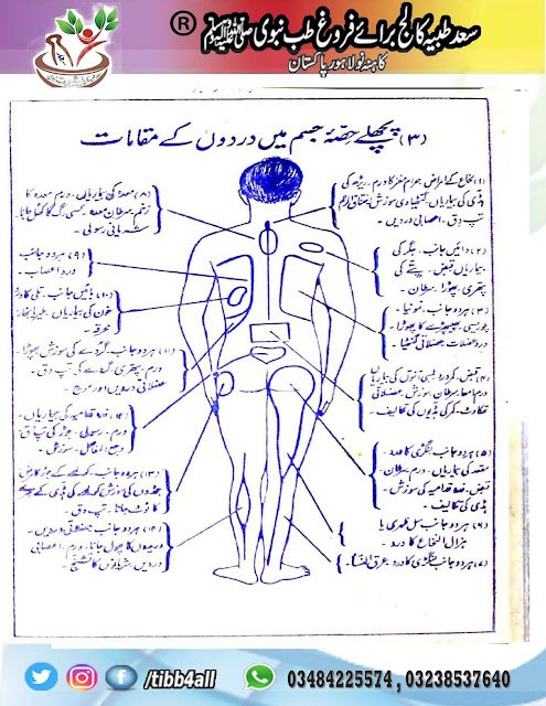 جسم میں درد کے مختلف مقامات اور ان کے اسباب