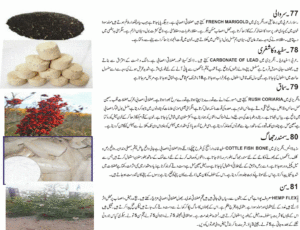 Read more about the article سلسلہ عقاقیر 17 سروالی ،سفیدہ کاشغری،سماق،سمندر جھاگ،سن