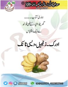 Read more about the article Ginger – ( حکیم قاری محمد یونس شاہد میو)ادرک۔زنجبیل،دیسی ٹانک