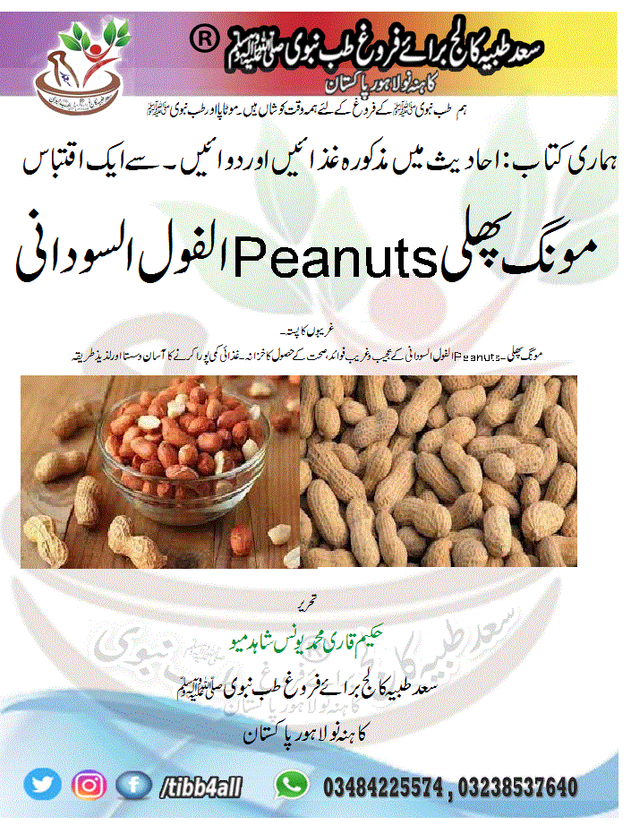 You are currently viewing مونگ پھلیPeanutsالفول السودانی
