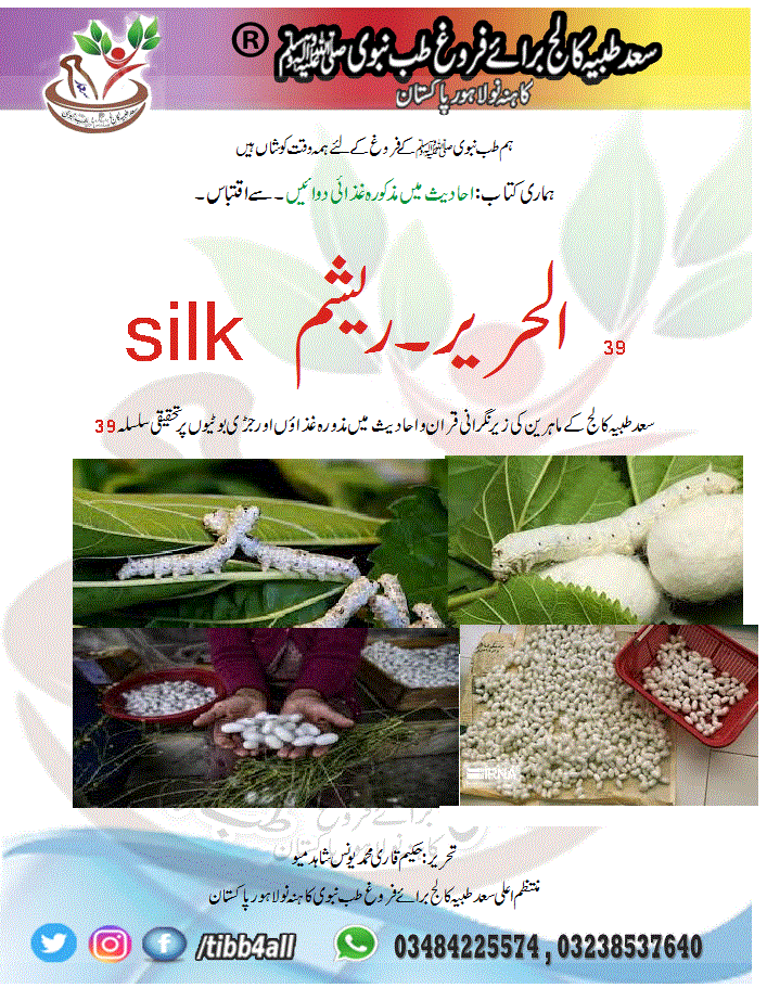Read more about the article الحریر۔ریشم         silk