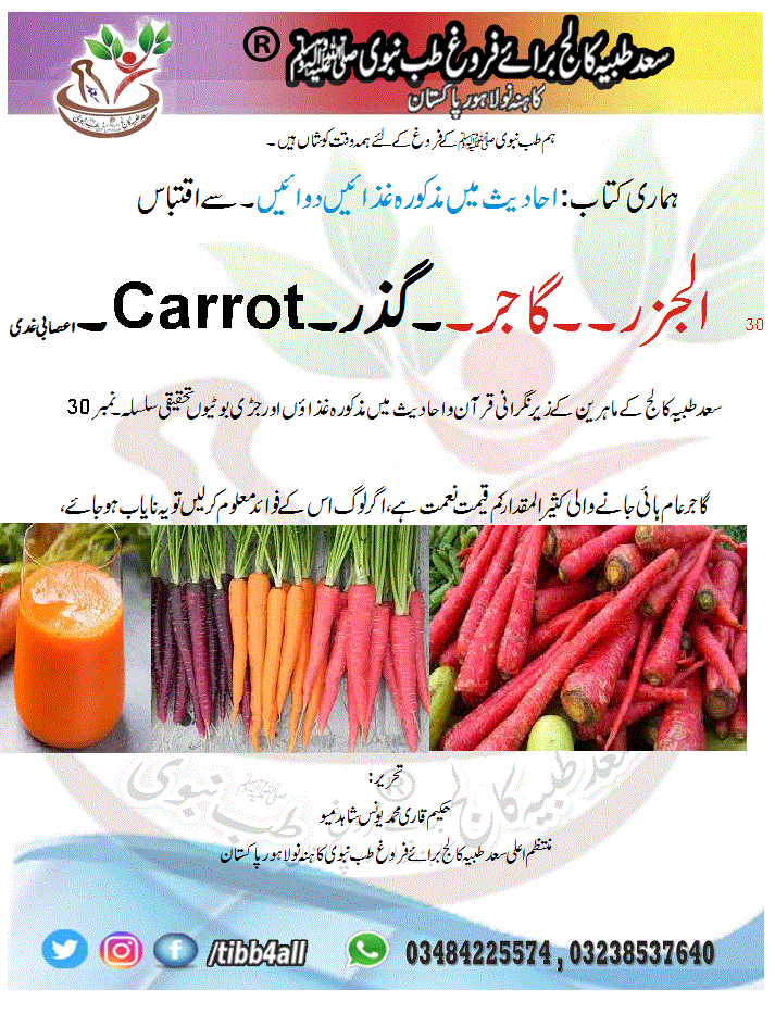 You are currently viewing الجزر۔۔گاجر۔۔گذر۔Carrot۔اعصابی غدی