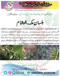 Read more about the article بلسان مکہ۔البشام
