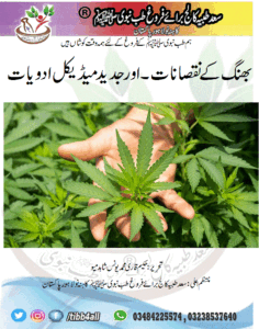 Read more about the article بھنگ کے نقصانات۔ اورجدید میڈیکل ادویات