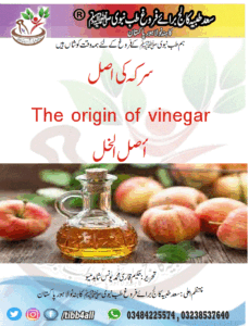 Read more about the article سرکہ کی اصل۔ The origin of vinegar ۔أصل الخل