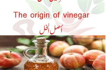سرکہ کی اصل۔ The origin of vinegar ۔أصل الخل