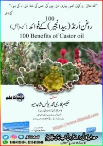 Read more about the article روغن ارنڈ کے 100 فوائد