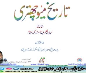 تاریخ میو چھتری۔