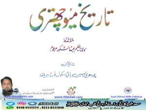 تاریخ میو چھتری۔