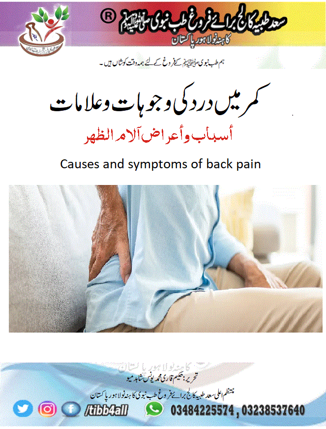 Causes and symptoms of back pain