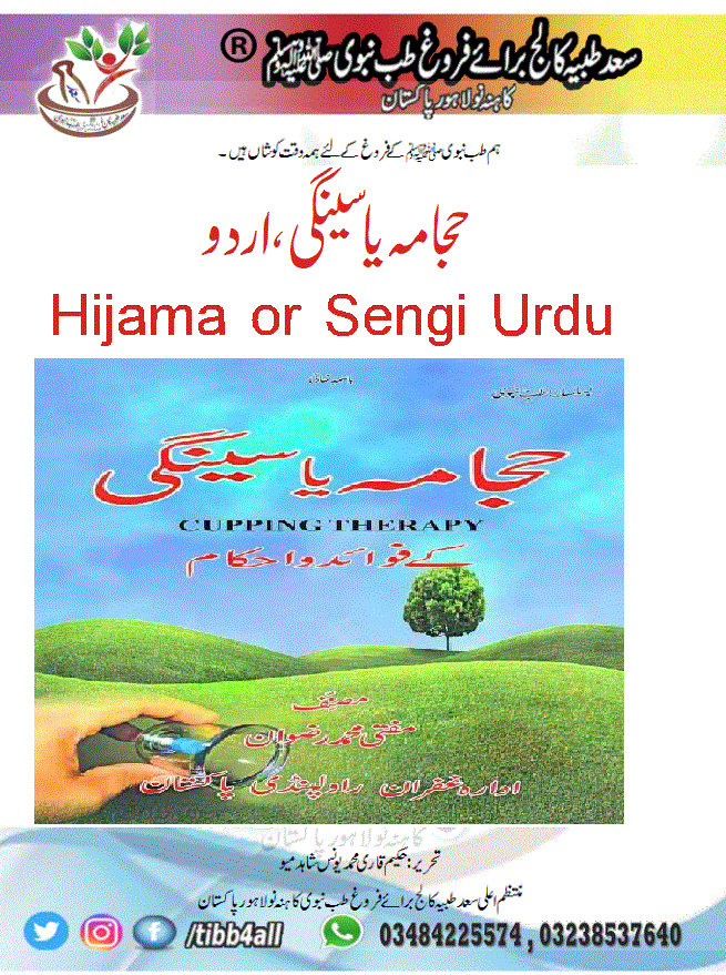 Read more about the article Hijama or Sengi Urdu