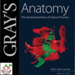 GRAY’S Anatomy