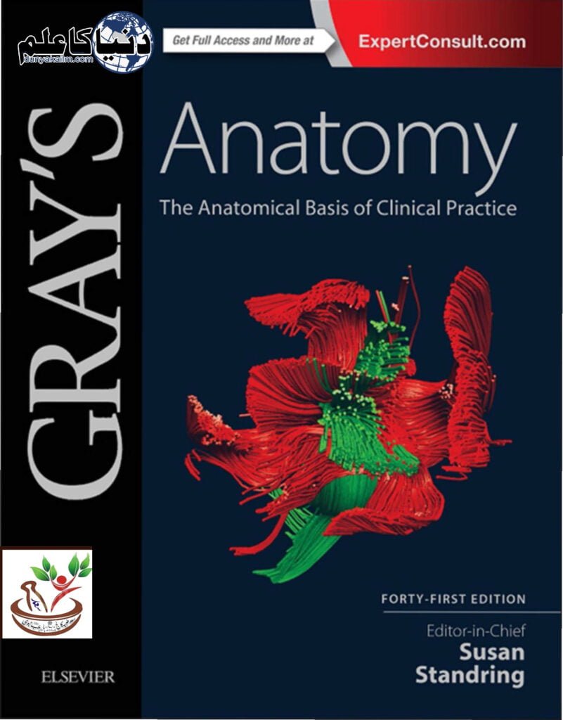 GRAY’S Anatomy
