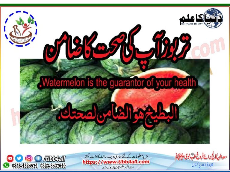 Watermelon-is-the-guarantor-of-your-healthwww.dunyakailm.com_.jpg