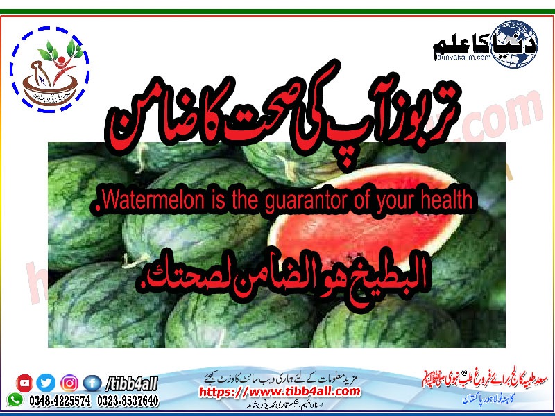 Read more about the article Watermelon is the guarantor of your health