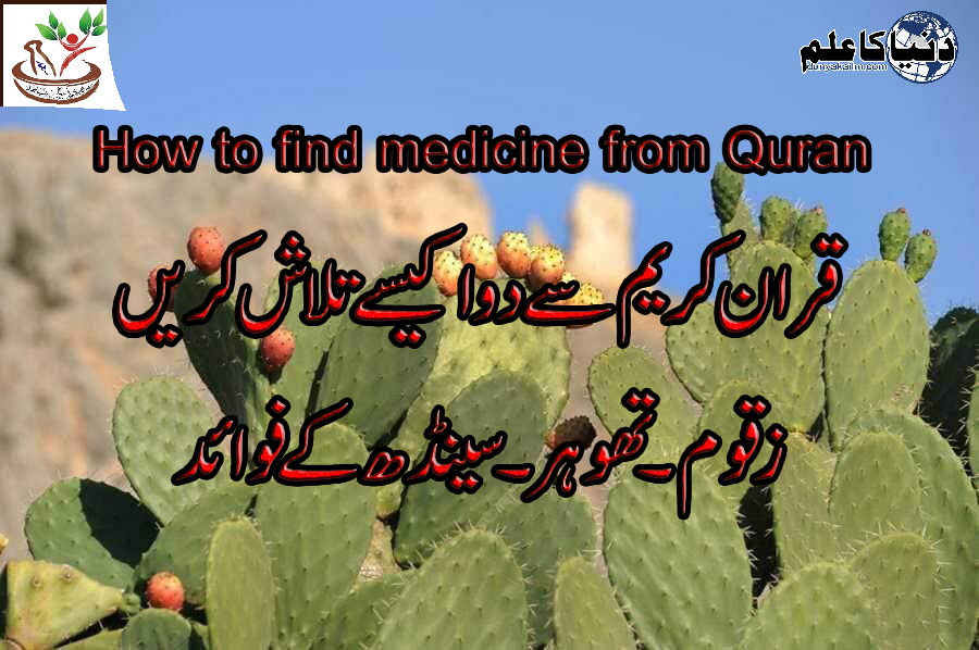 Read more about the article How to find medicine from Quran