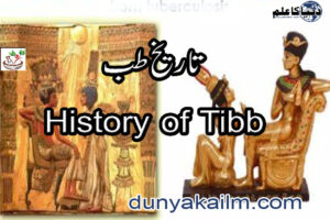 تاریخ طب History of Tibb