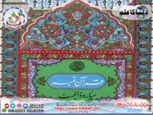 Read more about the article سیارہ ڈائجسٹ قرآن نمبر جلد 1