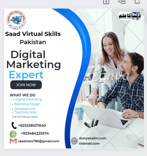 Saad Virtual Skills Pakistan