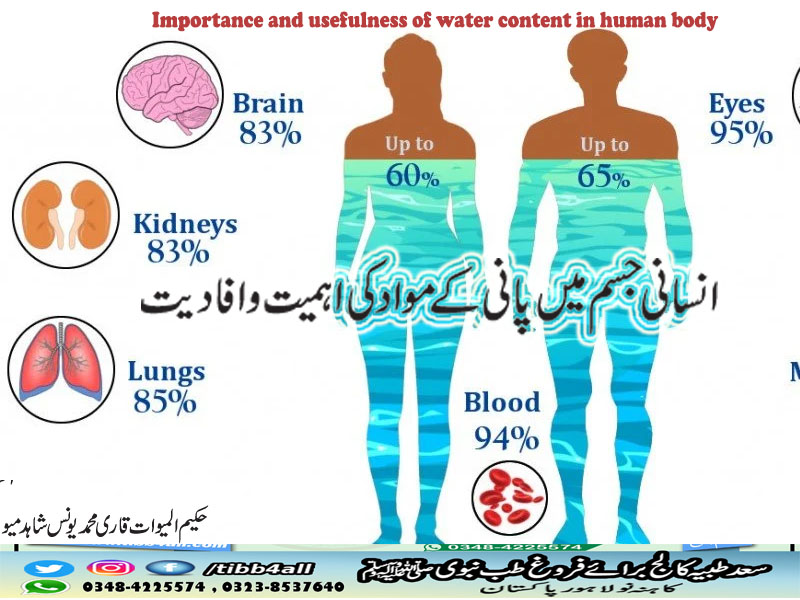 انسانی جسم میں پانی کے مواد کی اہمیت و افادیت