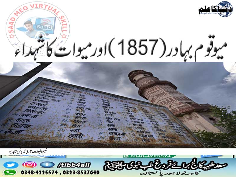 Read more about the article میو قوم بہادر(1857) اورشہدائےمیوات