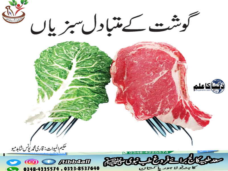 گوشت-کے-متبادل-سبزیاں.jpg