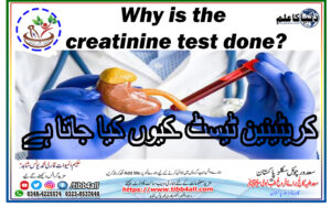 Why-is-the-creatinine-test-done.jpg