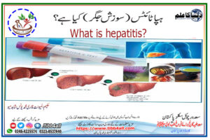 Read more about the article What is hepatitis?