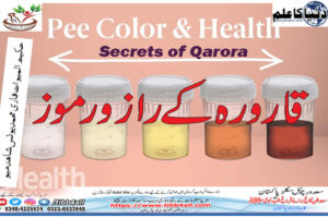 Secrets of Qarora