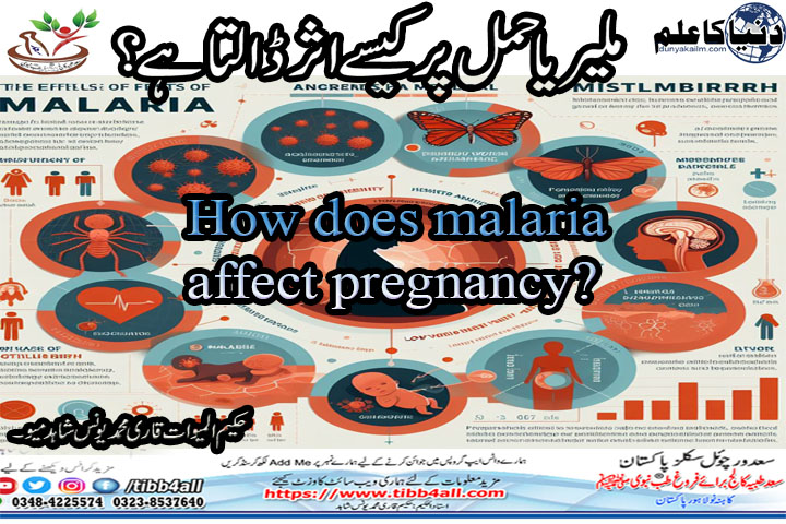 Read more about the article How does malaria affect pregnancy?