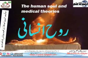 The human soul and medical theories