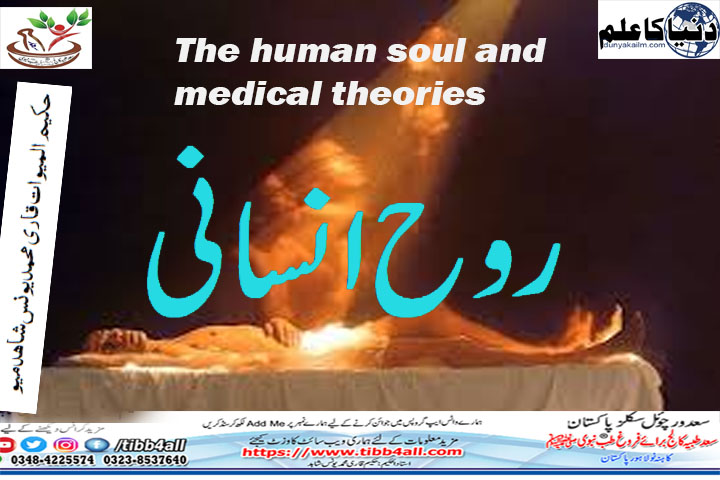 You are currently viewing The human soul and medical theories
