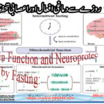 Brain Function and Neuroprotection by Fasting: