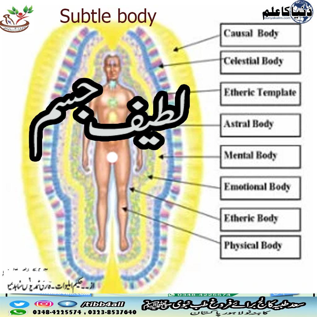 You are currently viewing Subtle body