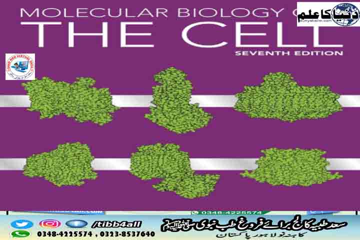 THE CELL Molecular