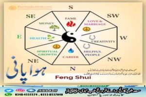 Read more about the article FENG SHUI۔ہوا پانی