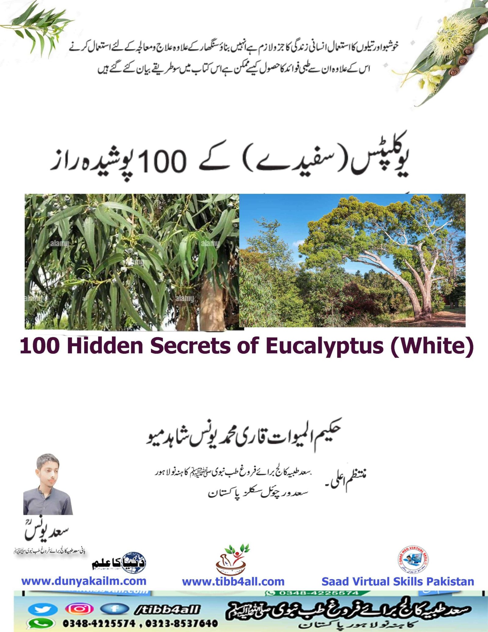 100 hidden secrets of eucalyptus (white).یوکلپٹس(سفیدے) کے 100 پوشیدہ راز.