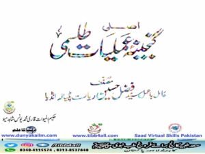 اصلی گنجینہ عملیاتی