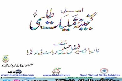 اصلی گنجینہ عملیاتی
