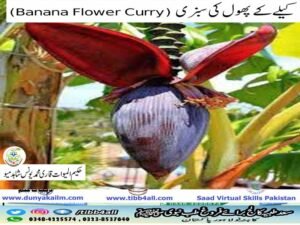 کیلے کے پھول کی سبزی (Banana Flower Curry)