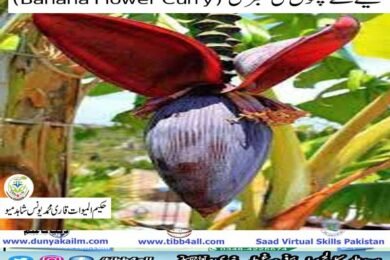 کیلے کے پھول کی سبزی (Banana Flower Curry)