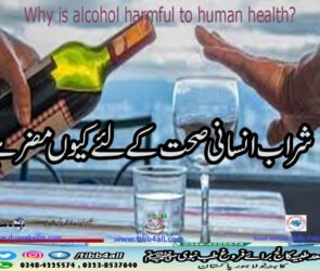 شراب انسانی صحت کے لئے کیوں مضر ہے
