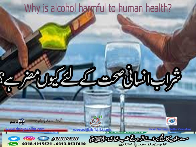 شراب انسانی صحت کے لئے کیوں مضر ہے