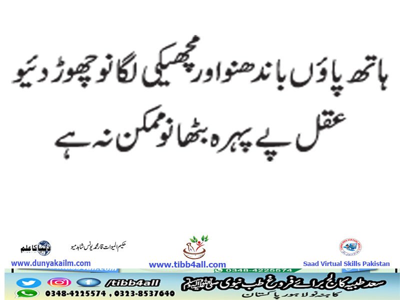 ہاتھ پائوں باندھنو اور مچھیکی لگانو چھوڑ دئیو