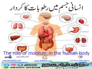 The role of moisture in the human body