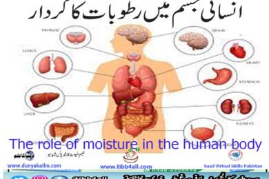 The role of moisture in the human body