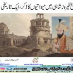 تاریخ فیروز شاہی میں میواتیوں کا ذکر