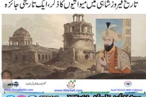 تاریخ فیروز شاہی میں میواتیوں کا ذکر
